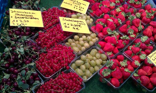 Food fresh market