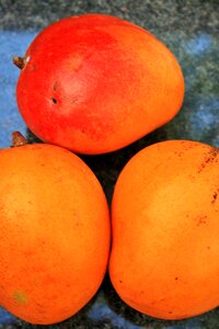 Orange plump tropical