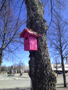 Market finnish branches