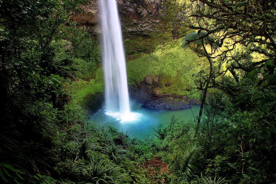 Waterfall nature north island