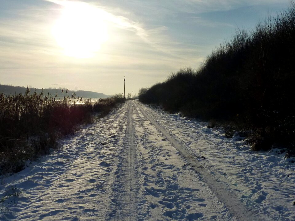 Snow traces nature