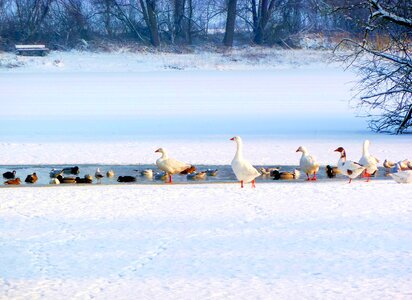 Winter snow lake