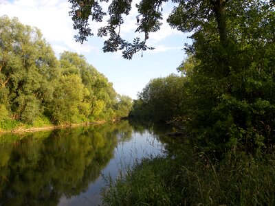 Danube water bank