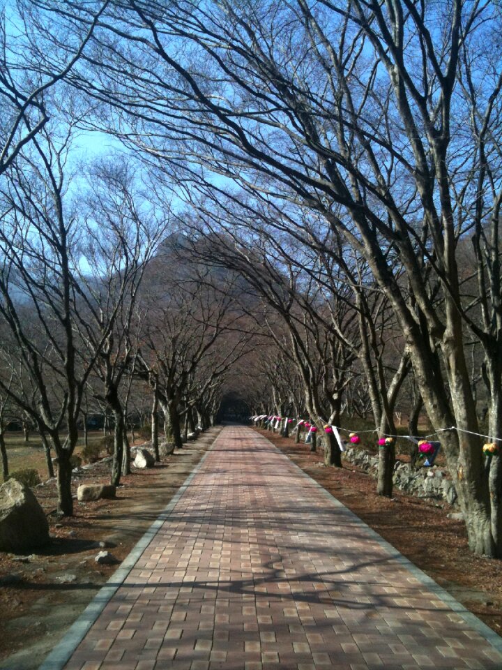 Perimeter road trails republic of korea