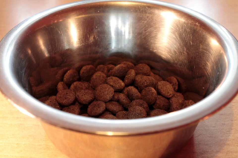 Dried fodder metal bowl pet food