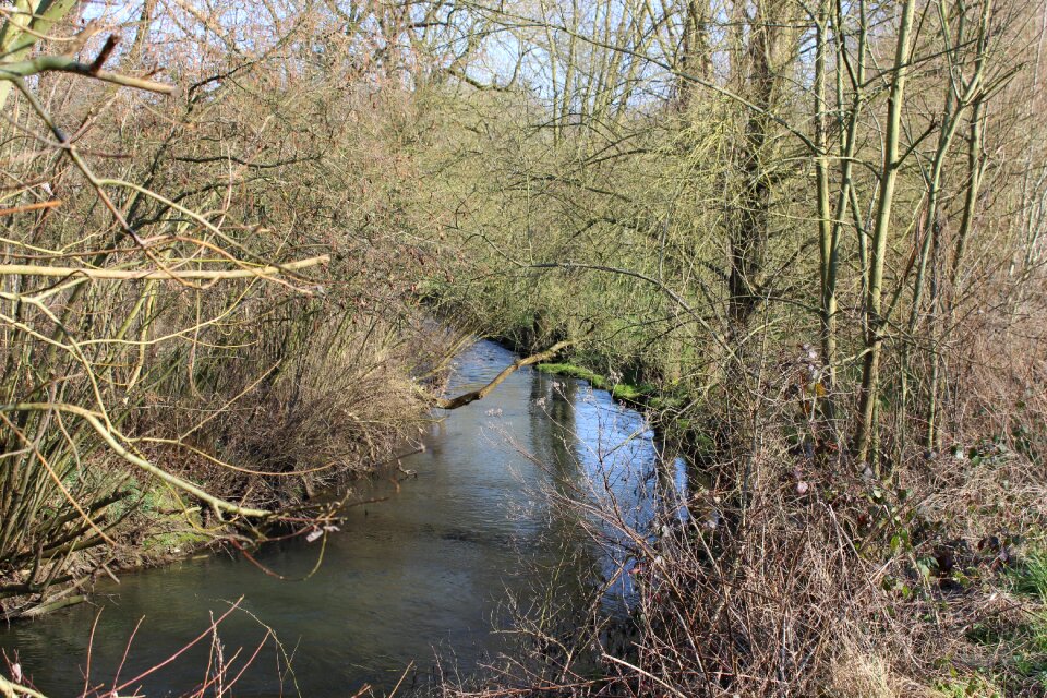 River water courses nature