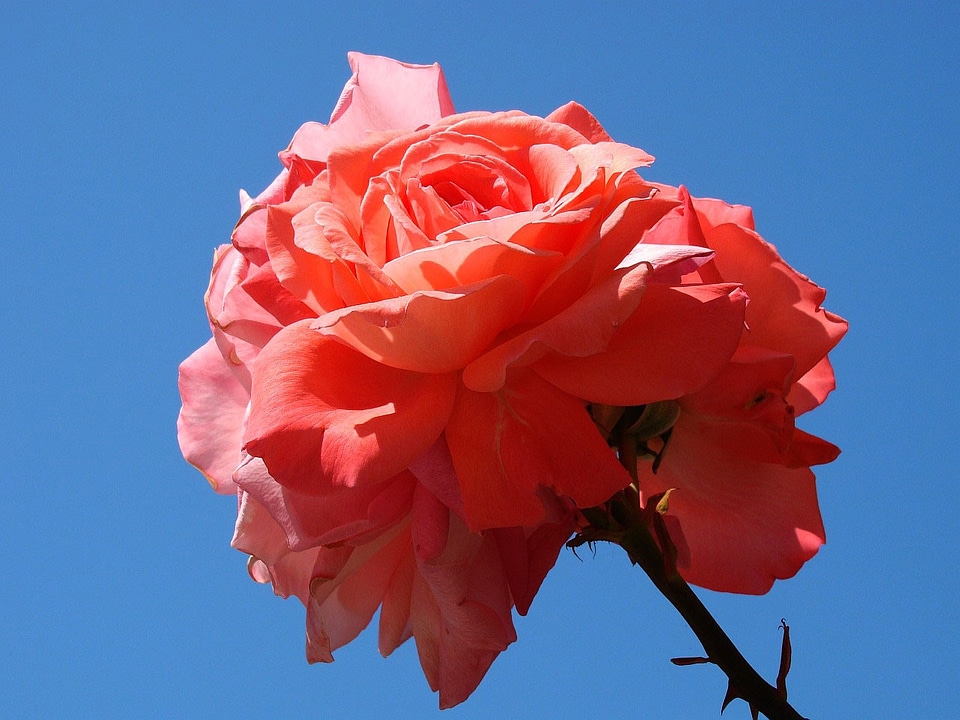 Blue background blue sky