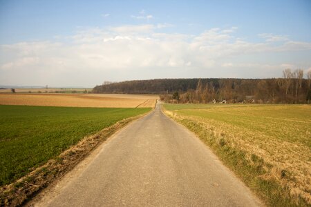 Away path landscape