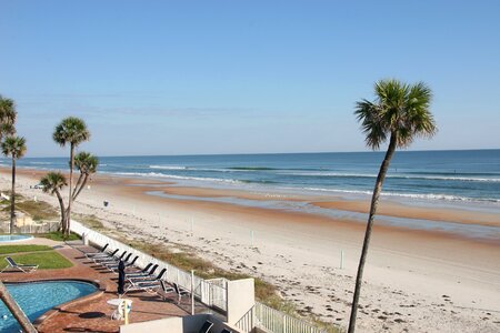 Ocean coast palm photo