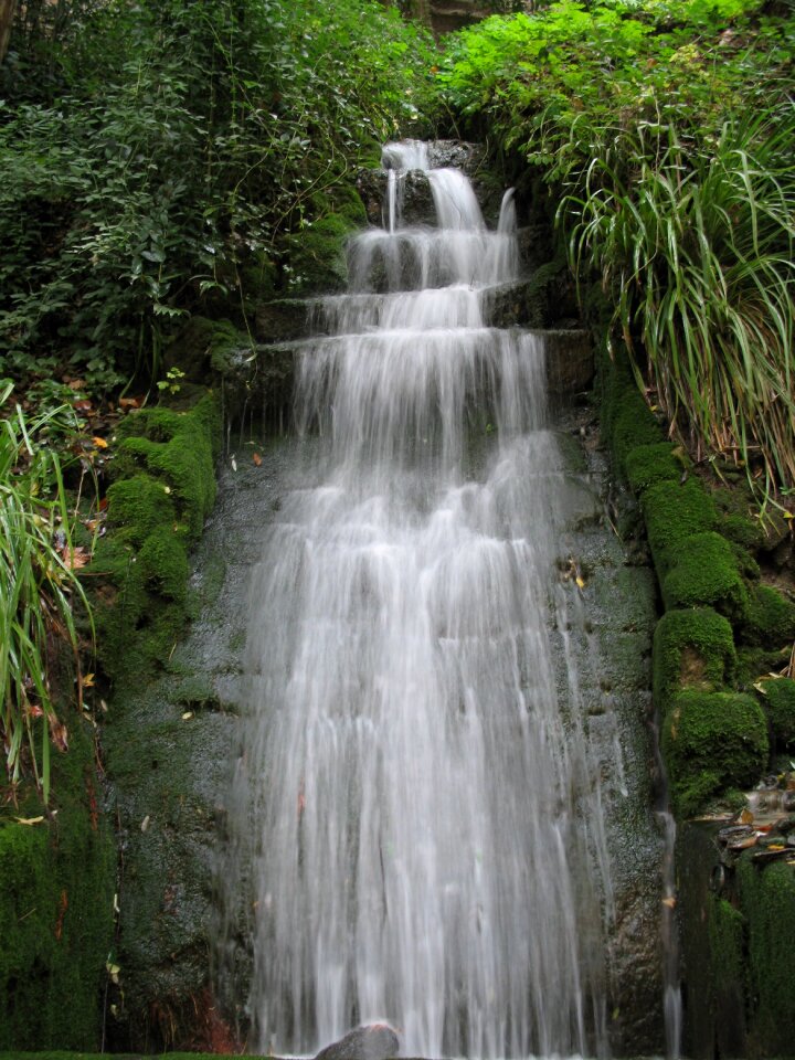 Green vegetation plants
