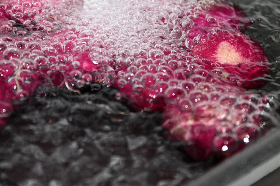 Bubble blow water
