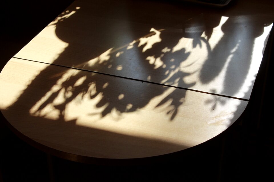Shadow hispanic plant