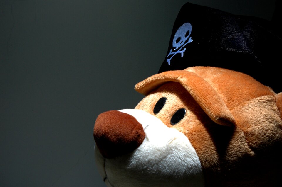 Skull hat fun cute
