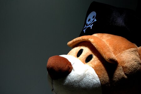Skull hat fun cute