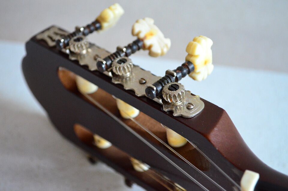 Music instrument close up
