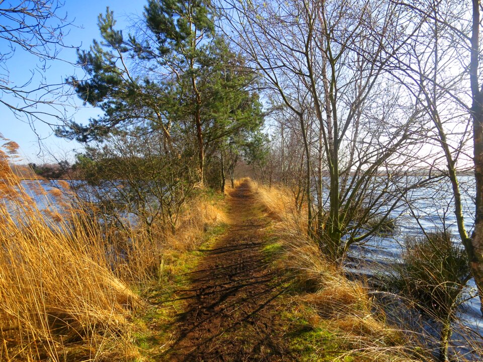 Nature reserve noord limburg netherlands