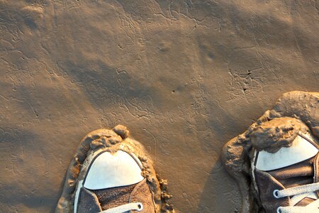 North sea mud beach photo