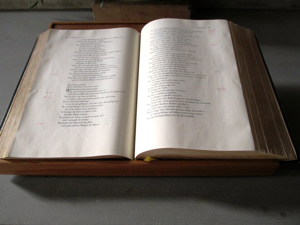 God's words believe jesus