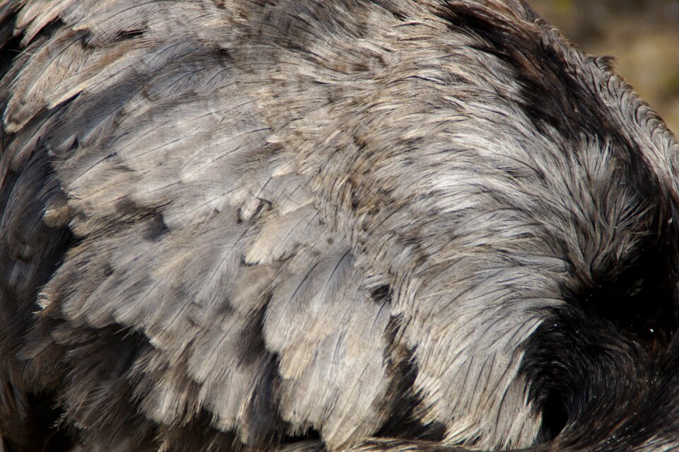 Close up structure texture