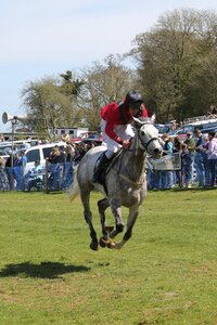 The horse racing horse power