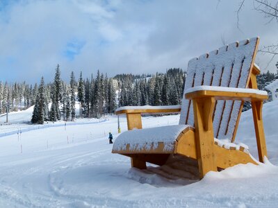 Canada over dimensional wooden chair sport