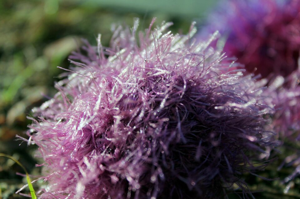 Fibers threads close up