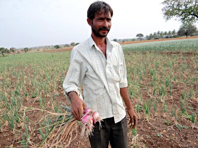 Field crop india