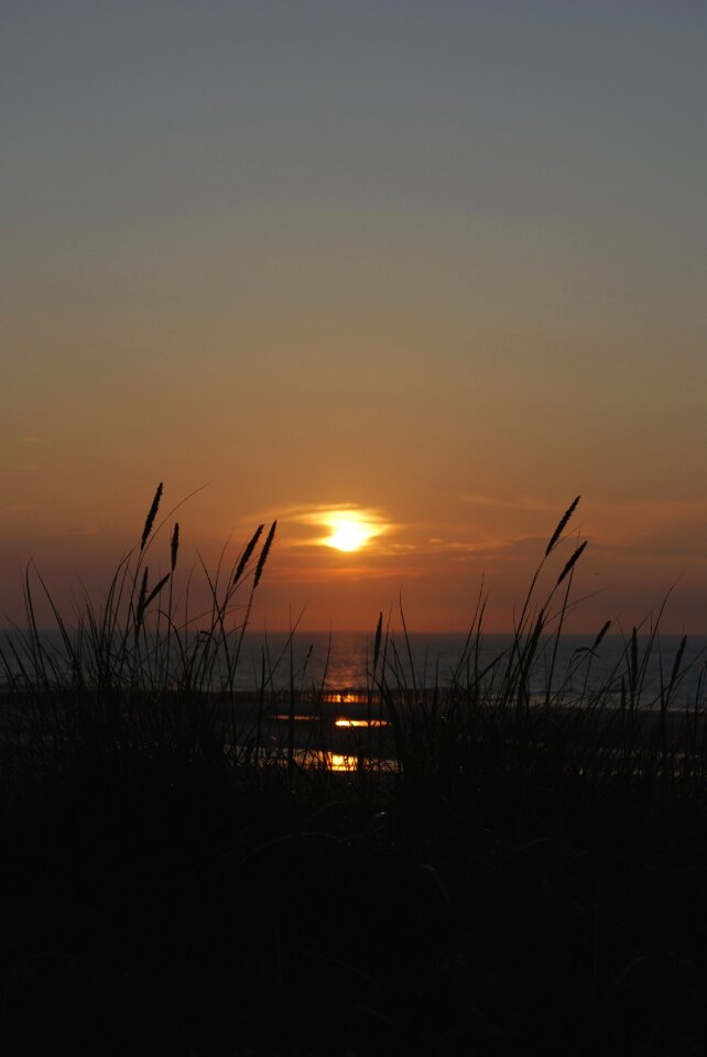 Wangerooge grasses sky