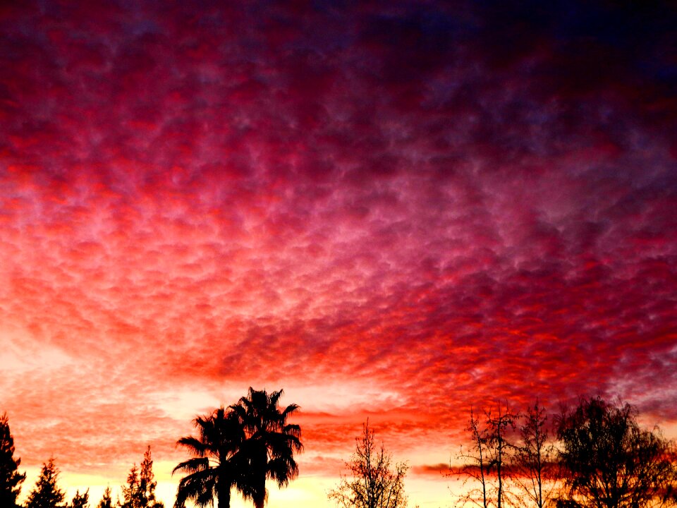 Colors colorful pink