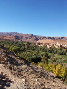 High mountain todra gorge palm grove