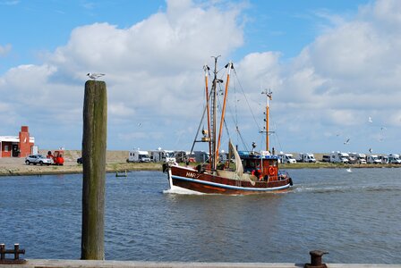 Harlesiel fishing boat gull photo