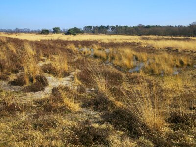 Nature reserve noord limburg netherlands