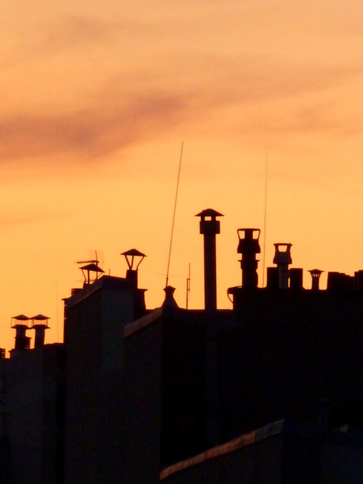 Evening twilight landscape