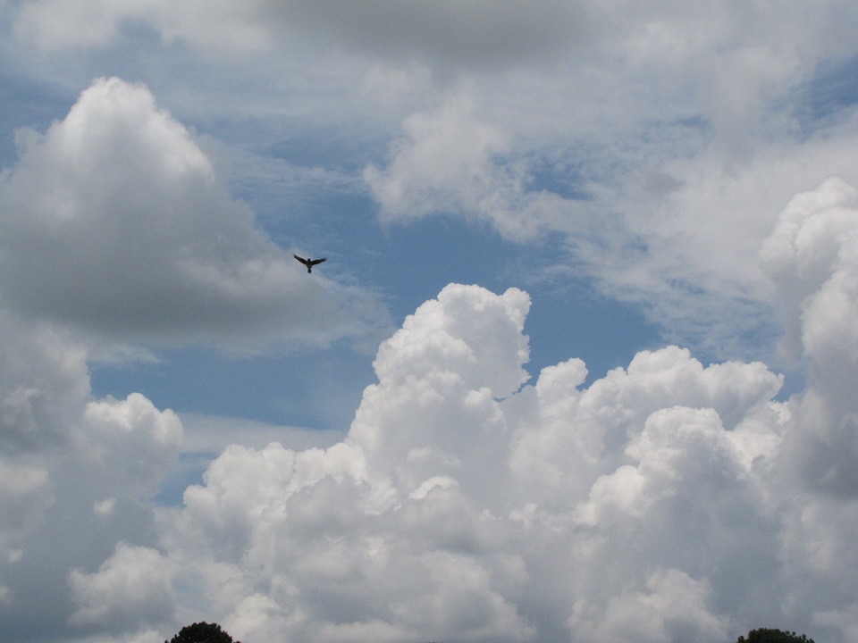 Cloudscape fluffy high
