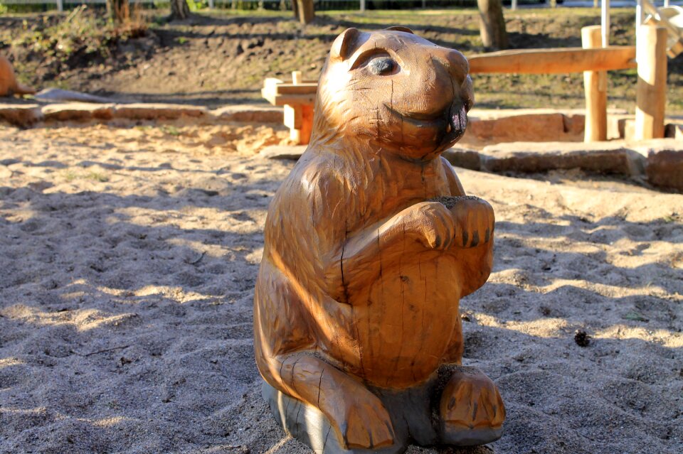 Carved nager rodent