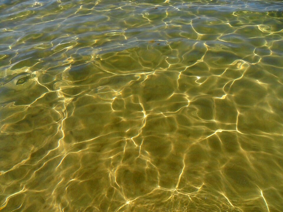 Wave water sea