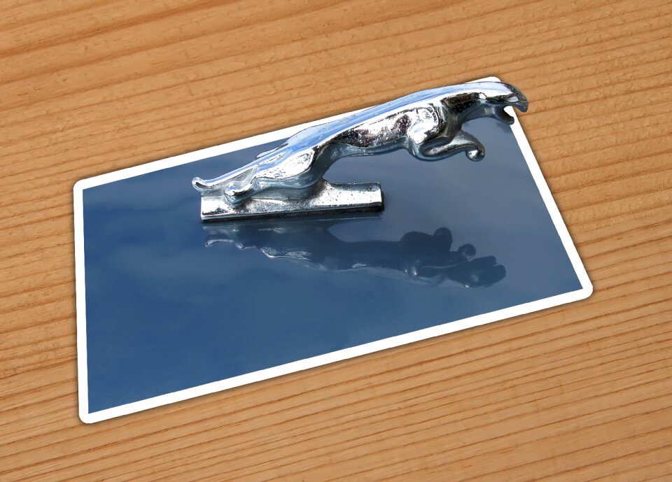 Chrome hood ornament