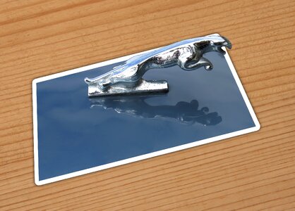 Chrome hood ornament