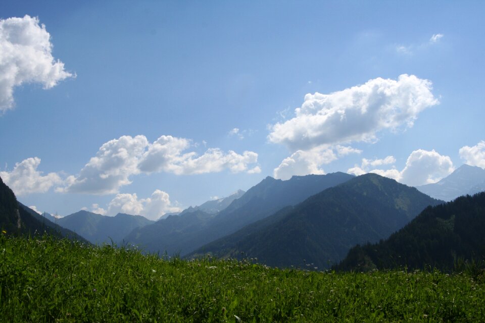 Mountain meadow summer mountains