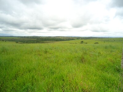 Farm green landscape