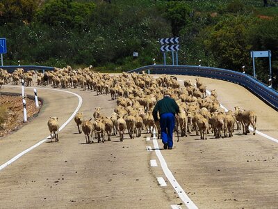 Blocking road spain