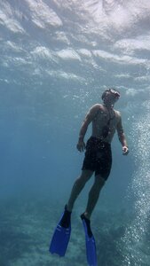 Freediver fins underwater photo