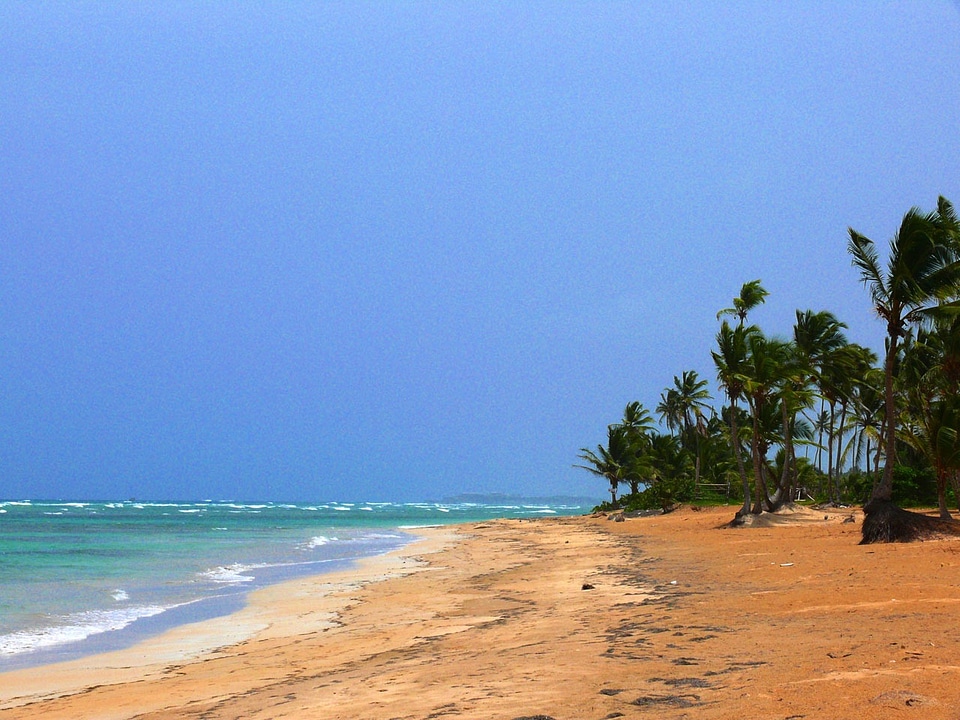 Dominican republic alto