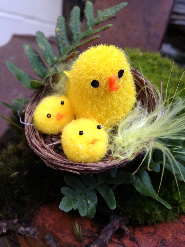 Nest cute yellow
