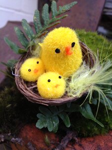 Nest cute yellow photo