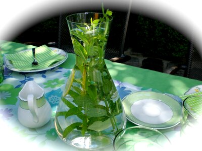 Glass table decorations garden