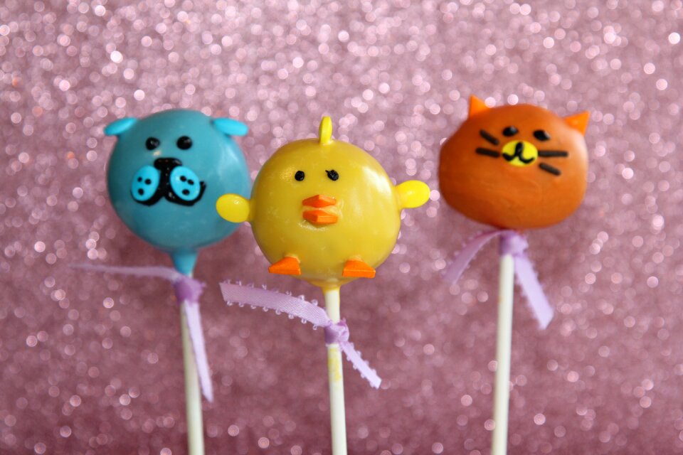 Dessert animals chicken