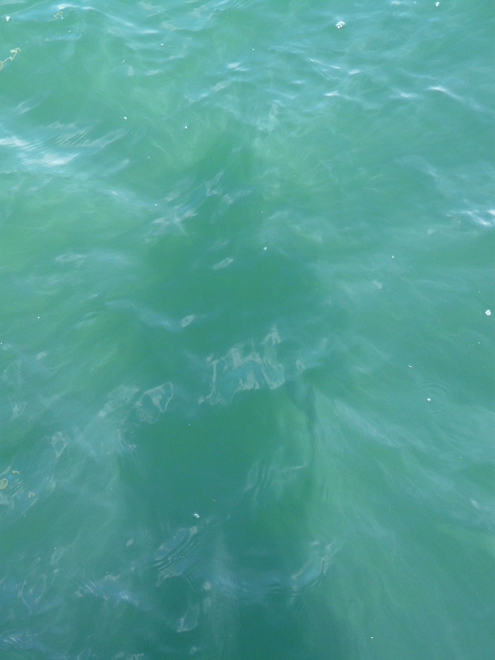 Mysterious green shimmer
