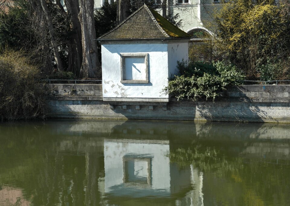 Nature reflection mood