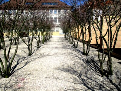Park plant gravel paths